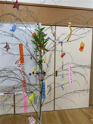 短冊をつける笹