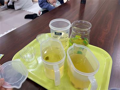 出汁の飲み比べ