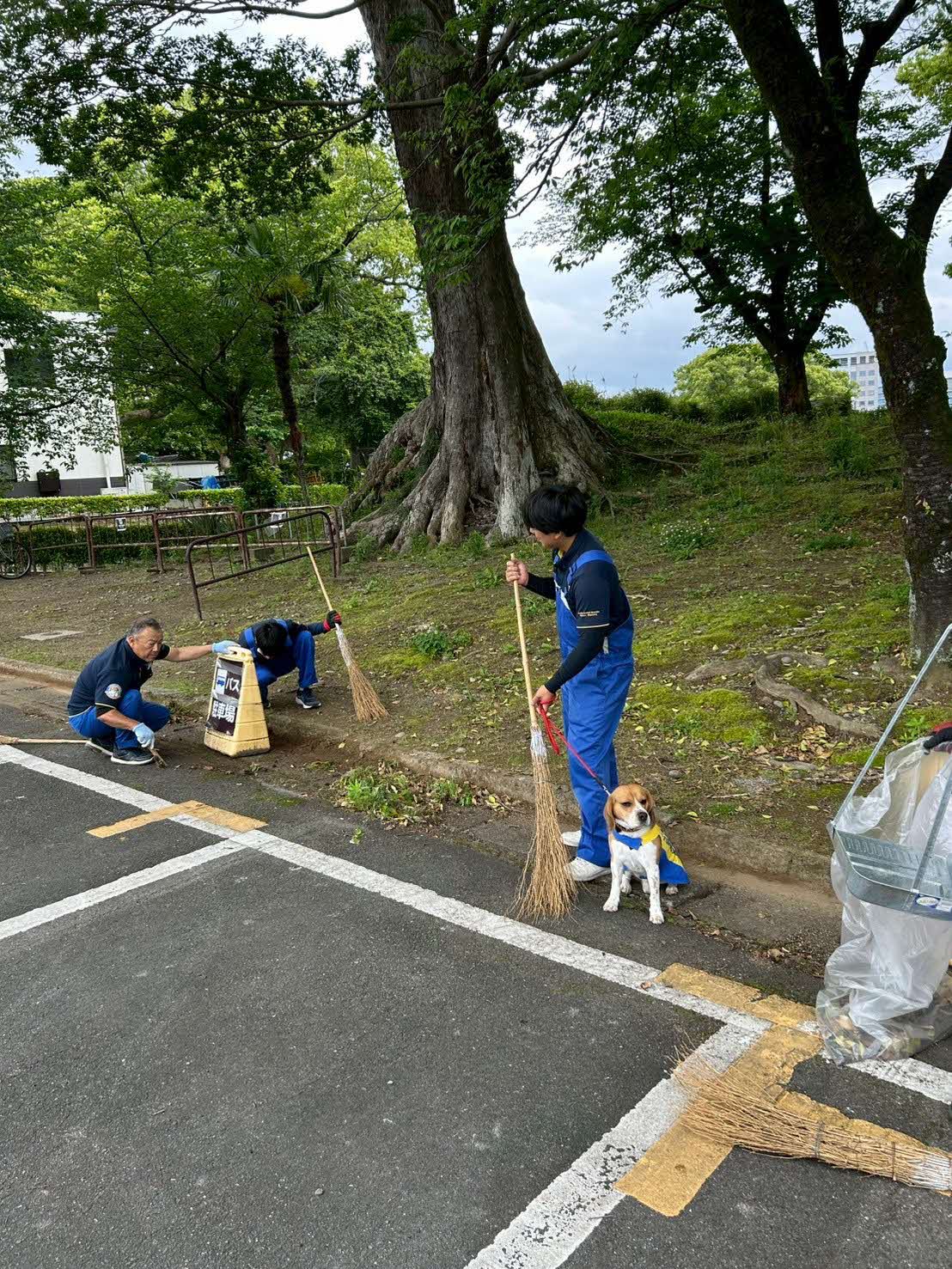 ニッショウ化学2