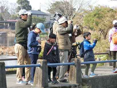 上江津湖野鳥観察