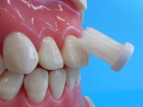 歯ブラシを歯と歯肉の境目に斜め45度の角度で当てている写真