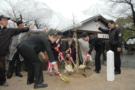 福井市からのしだれ桜の記念植樹式　