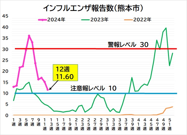 インフルエンザ  報告数(熊本市)グラフ