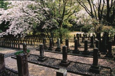 10 七本官軍墓地