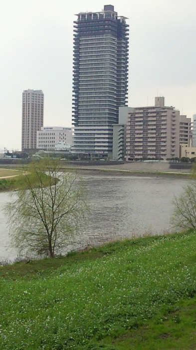白川と熊本タワー