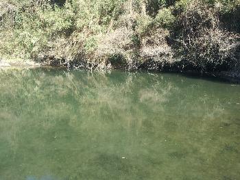 小清水の池