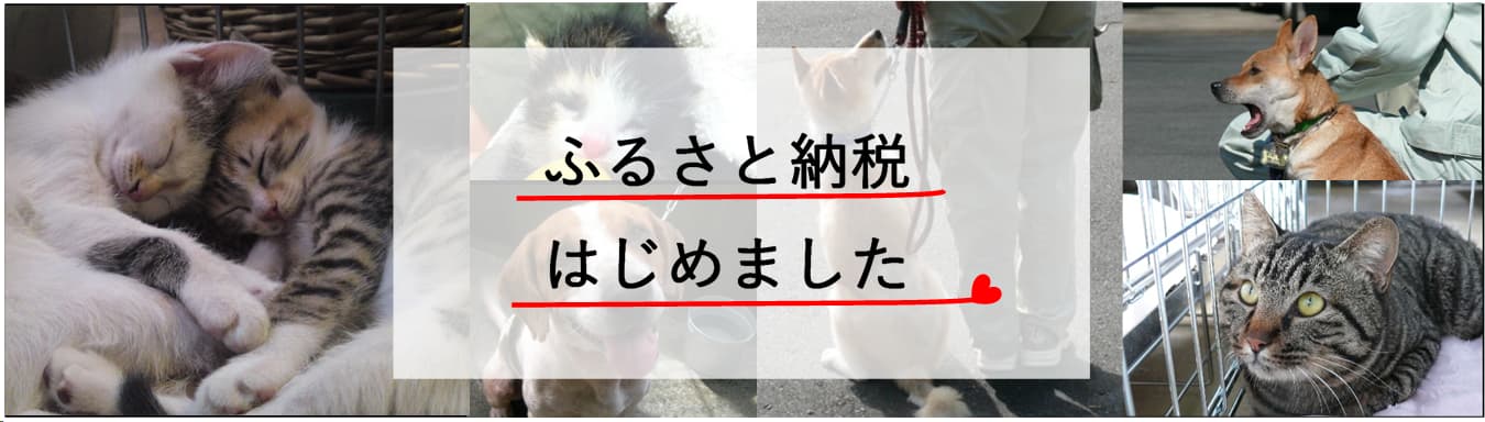 ふるさと納税はじめました