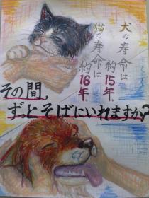 熊本学園大付属高校1年生作成