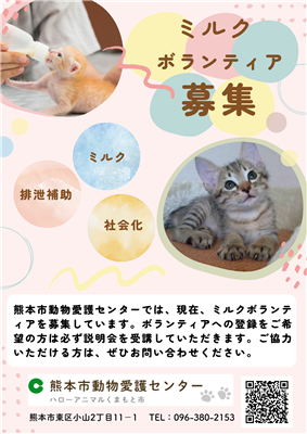 子猫のミルクボランティア募集（表）