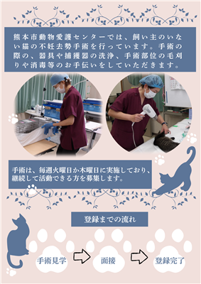 飼い主のいない猫の不妊去勢手術支援ボランティア（裏）
