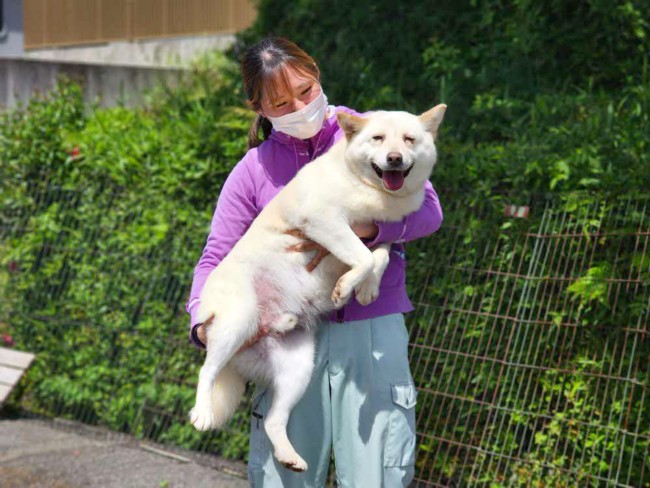らいむ らいむ