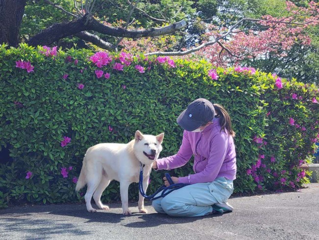 り り