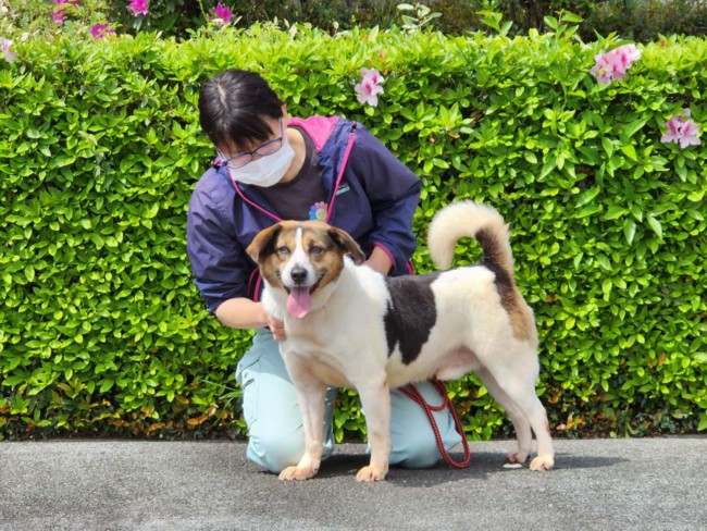 ジークル