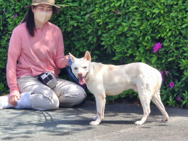 きいち