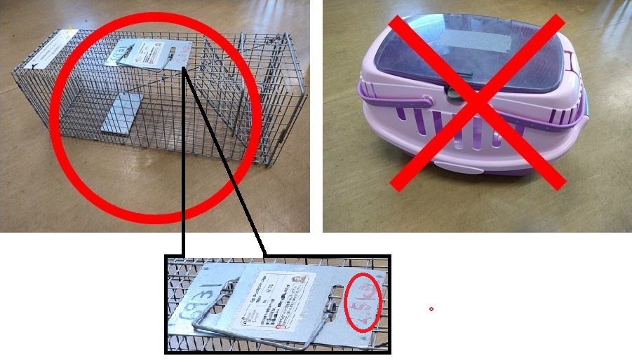 捕獲器とキャリー