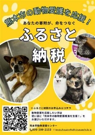 チラシ黄色