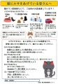 猫にエサをあげている皆さんへ