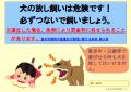 犬 放し飼いはやめましょう 犬 放し飼いはやめましょう