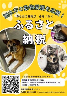 ふるさと納税（黄）
