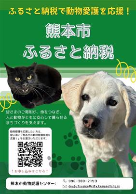 ふるさと納税（緑）