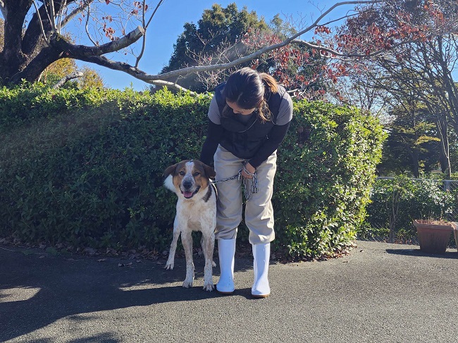 ぺー