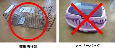 捕獲器とキャリー 捕獲器とキャリー