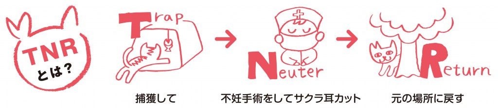 TNRとは TNRとは