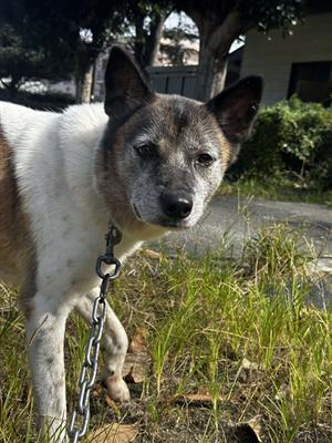 ソフト