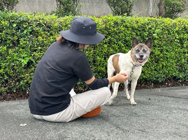 そふと