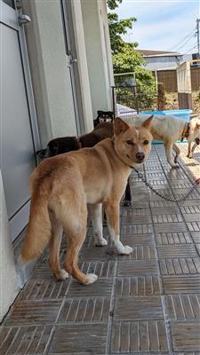 なぎさ