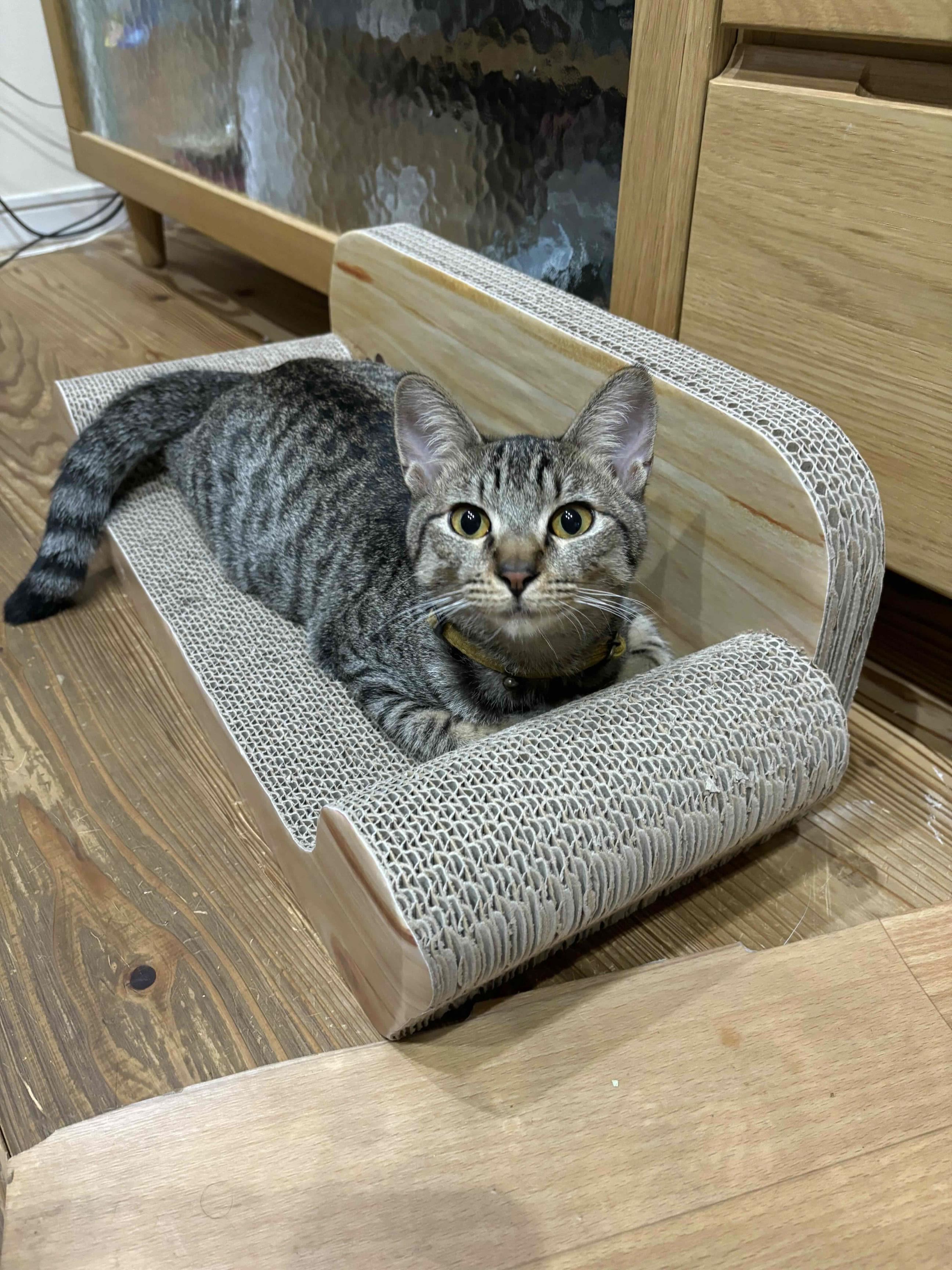 こんぶ
