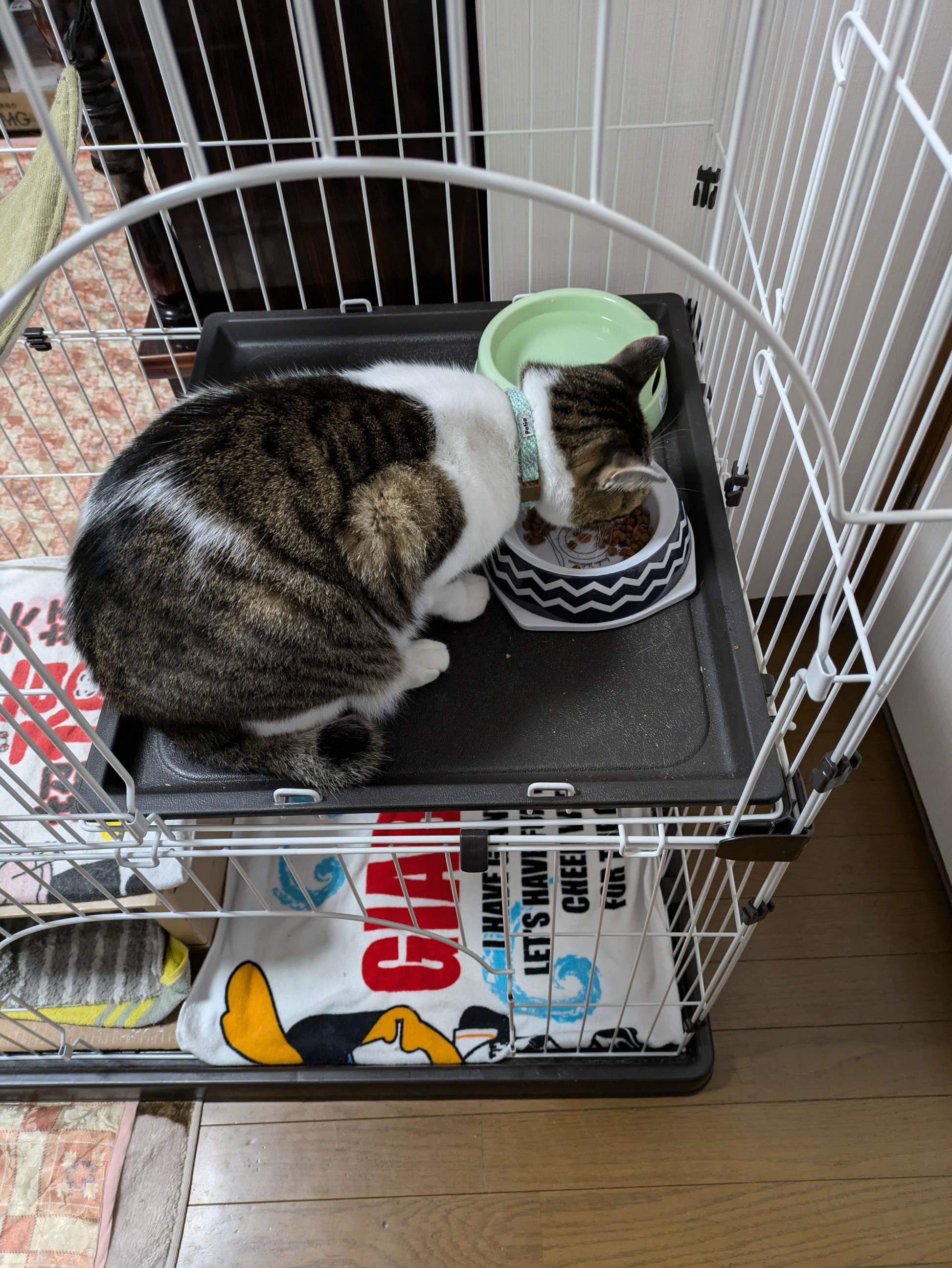 さんとす