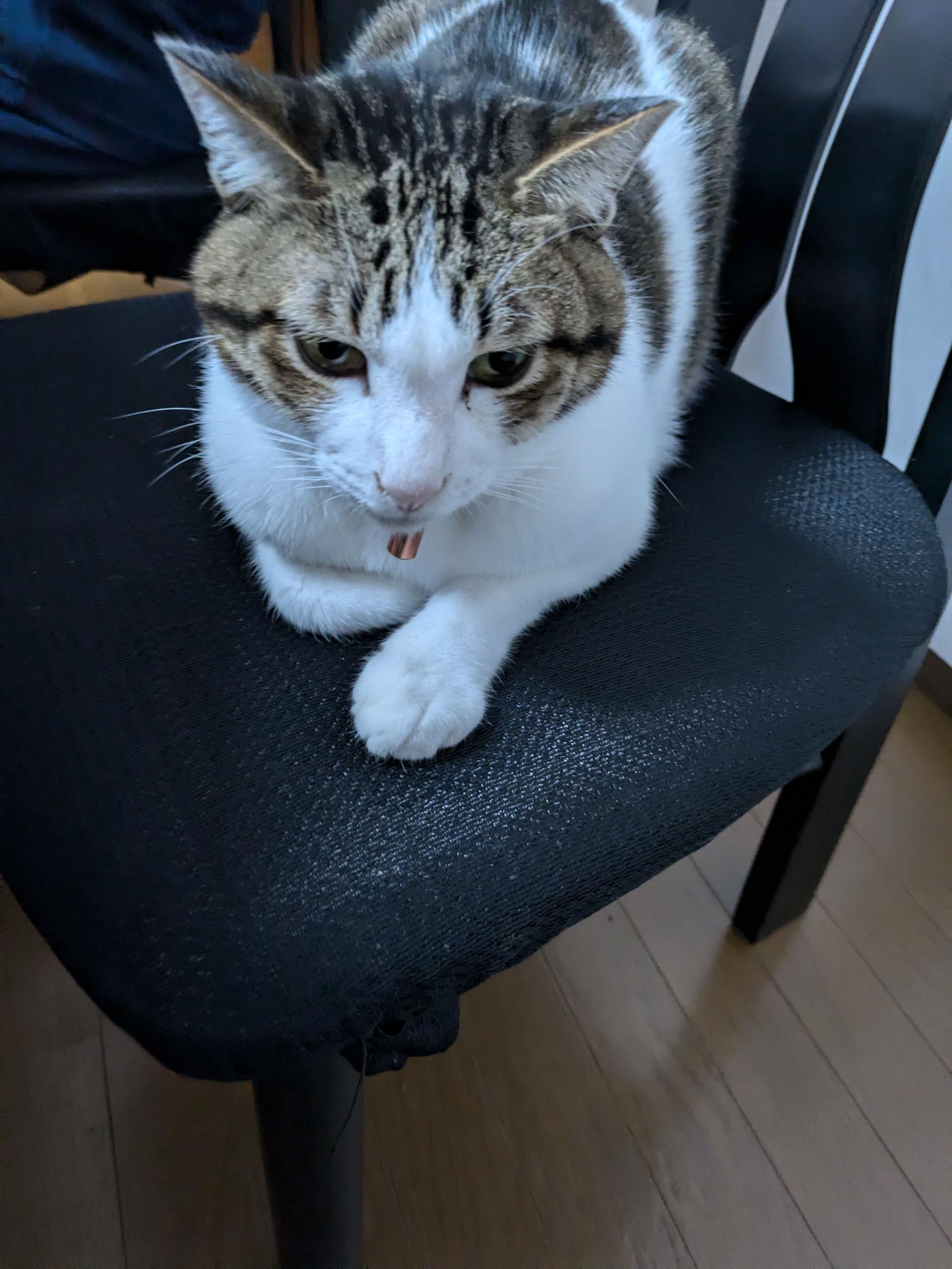さんとす