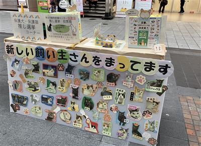 ねこ投票