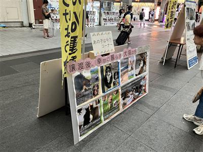 譲渡後のパネル