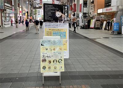 全景