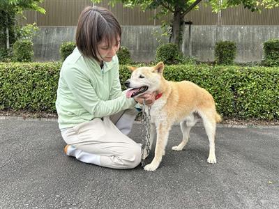 わにじ