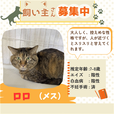 ロロ