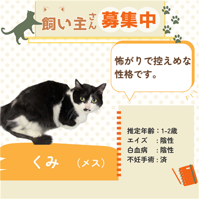 くみ
