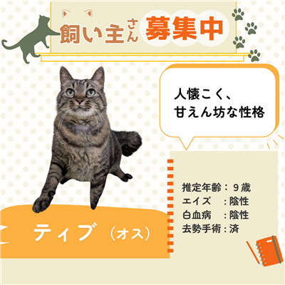 ティブ