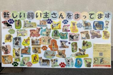 推し犬パネル