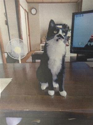 譲渡後るみちゃん