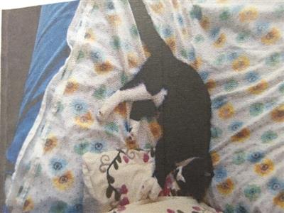 譲渡後るみちゃん