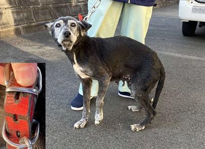 北区　鶴羽田1丁目