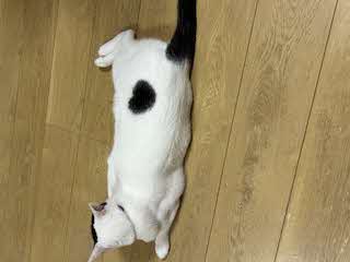 写真3
