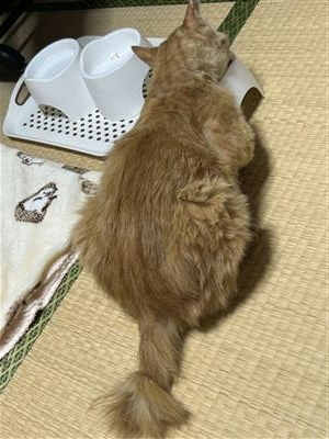 畦森さん2