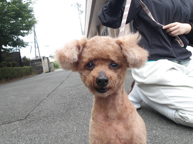 チルド