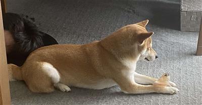 写真2