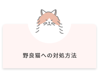 野良猫への対処方法