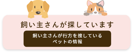 飼い主さんが探しています　飼い主さんが行方を捜しているペットの情報